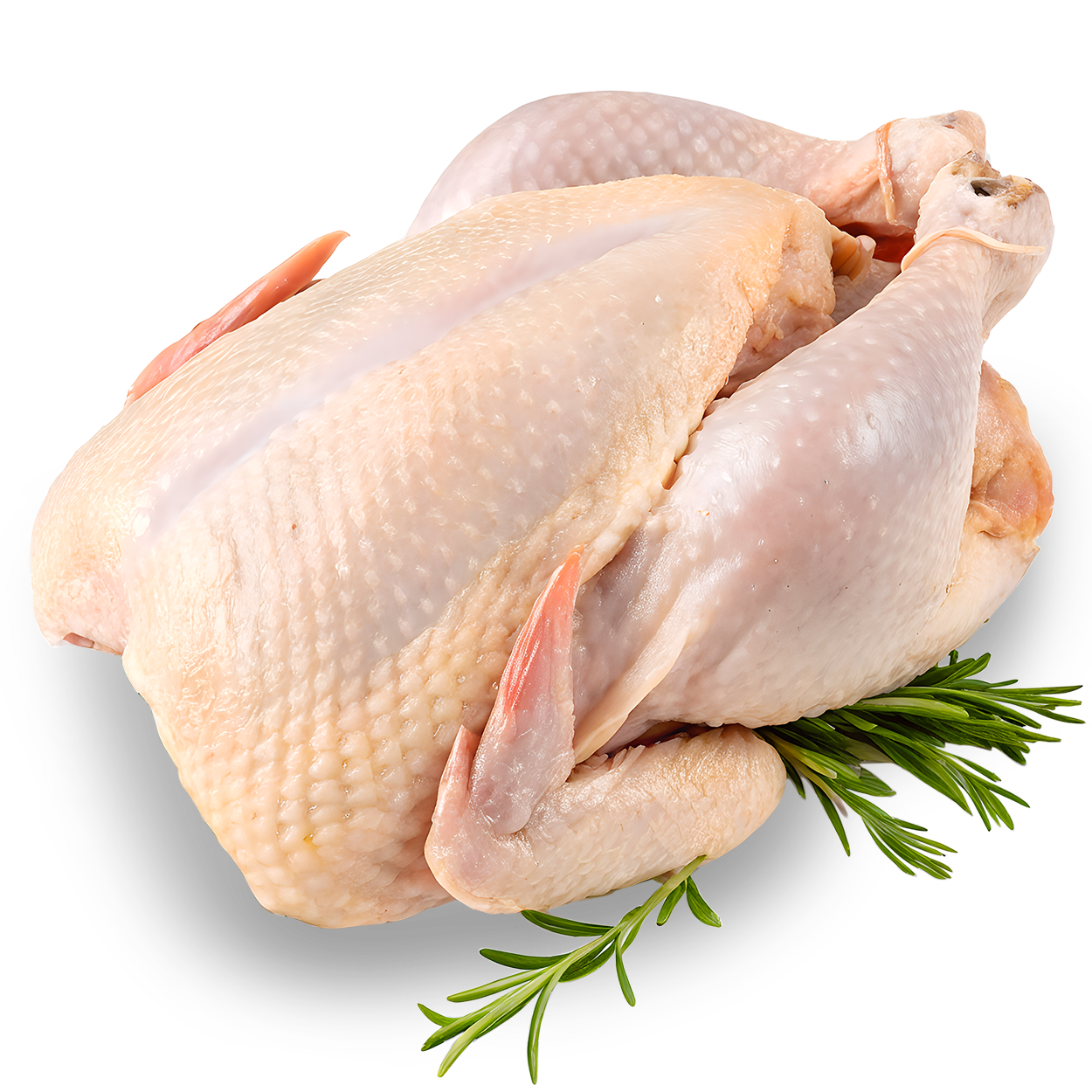 Product Presentation